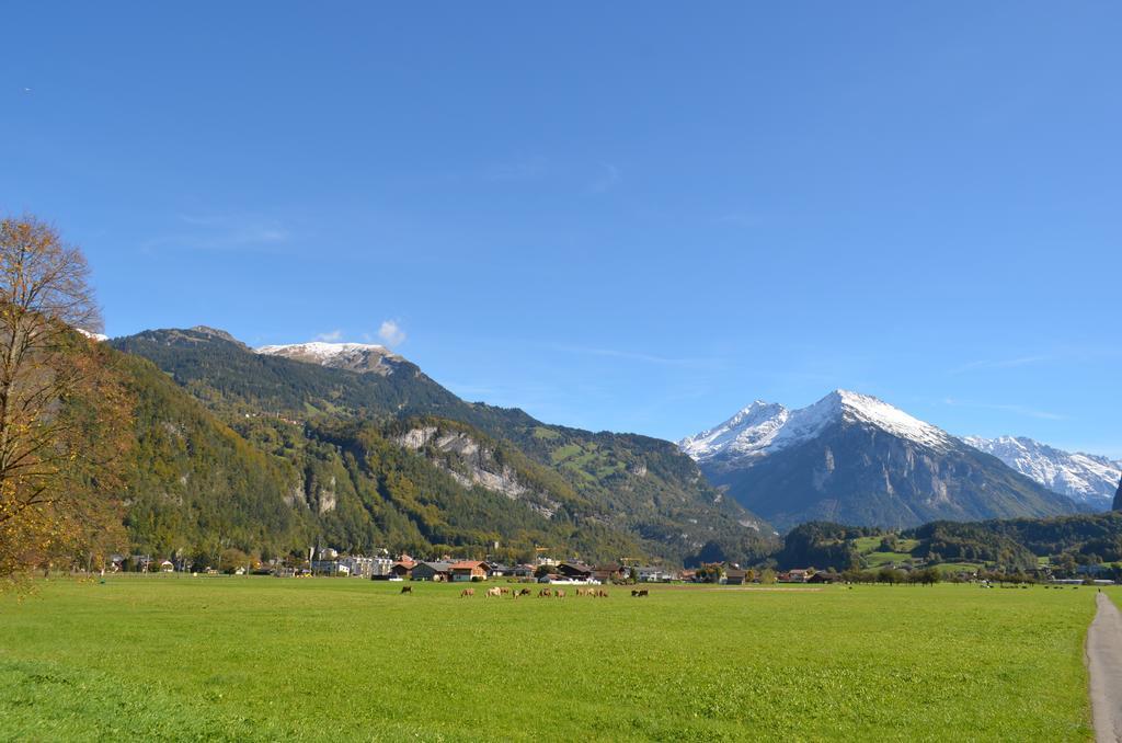 Mountain-Panorama Διαμέρισμα Meiringen Εξωτερικό φωτογραφία