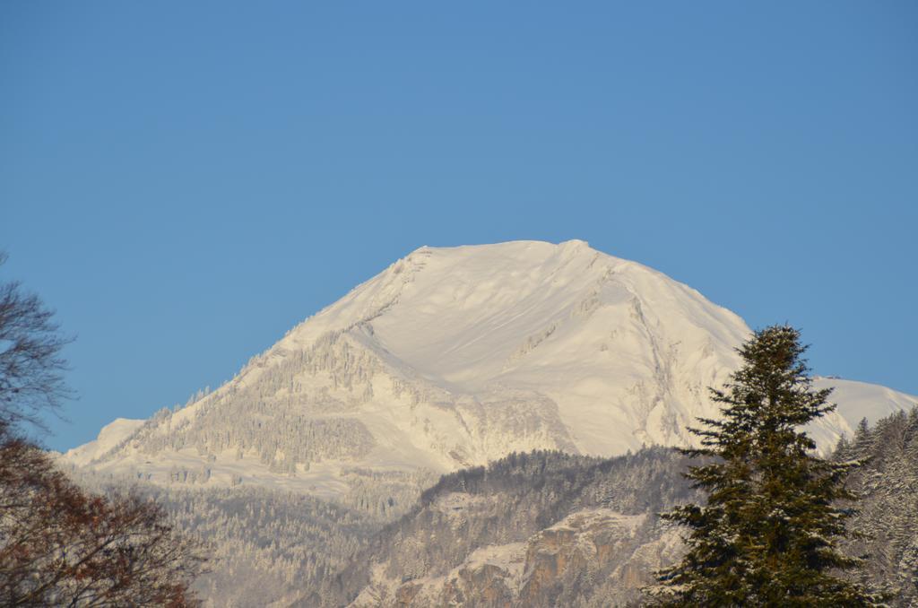 Mountain-Panorama Διαμέρισμα Meiringen Εξωτερικό φωτογραφία