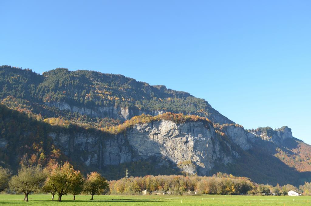 Mountain-Panorama Διαμέρισμα Meiringen Εξωτερικό φωτογραφία